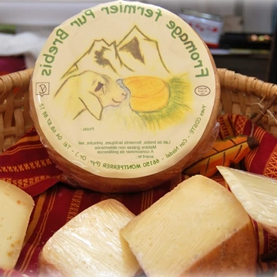 Fromage fermier pur brebis