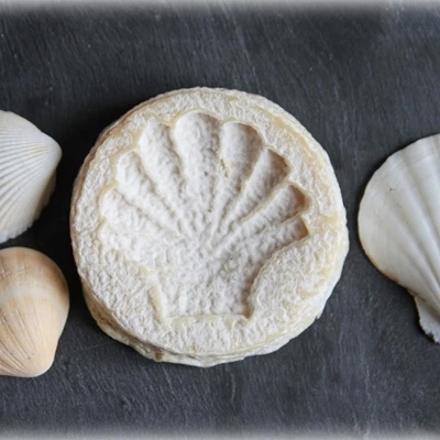 Le Compostelle
