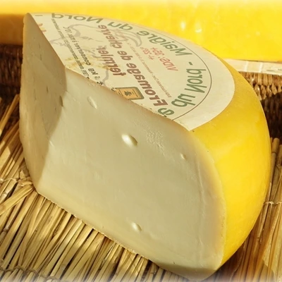 Maigre du Nord