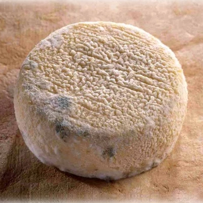 Pigouille