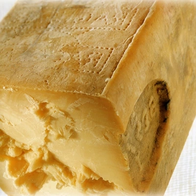 Ragusano