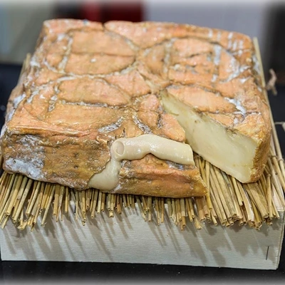 Taleggio