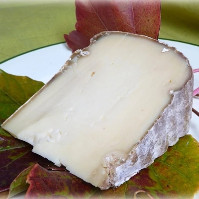 Tome Basque