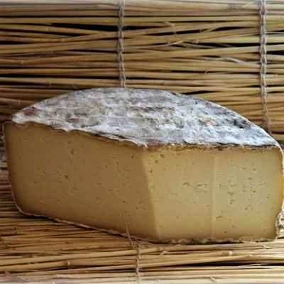Tomme du Fédou